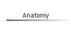 Anatomy